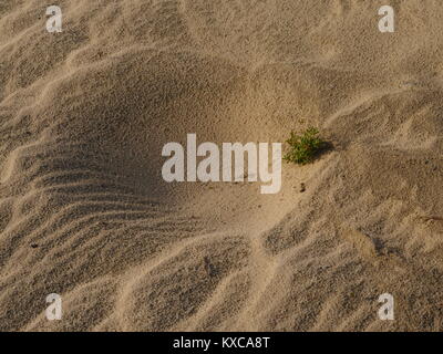 Saudi Arabia Desert full of sand hills and sand dunes and all over Desert beauty Stock Photo