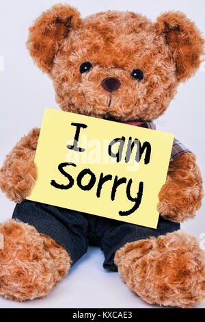 Cute teddy bear holding a yellow sign that reads I am Sorry isolated on a white background Stock Photo