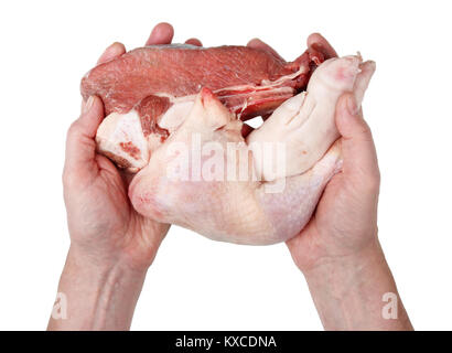 Butche offers the buyer of fresh raw meat pieces - chicken, beef and pork. Isolated on white studio top view shot Stock Photo