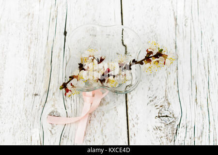 blossoming apricot branches in a vase of glass in the blurry white wooden background. Light toned photo. top view Stock Photo