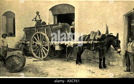Photograph showing grape harvest in Drôme Provençale, France, depicting workers arriving at a wine cellar with baskets of grapes, illustrating traditional winemaking practices in the region. Stock Photo