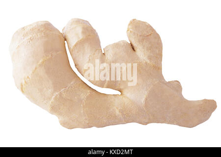 Isolated Ginger root. One whole ginger root isolated on white background with clipping path for package design. Stock Photo