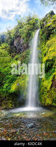 18m high Dawson Falls waterfall in the middle of a tropical rainforest,Dawson Falls,Mount Taranaki or Mount Egmont Stock Photo