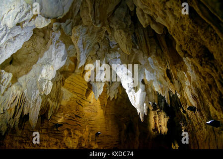 Ceiling hanging stalactites in the dripstone cave Aranui Cave,Waitomo Caves,Waikato,North Island,New Zealand Stock Photo