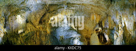 200°Panorama with stalactites and stalactites in the dripstone cave Aranui Cave,Waitomo Caves,Waikato,North Island Stock Photo