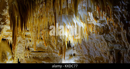 Small stalactites in the dripstone cave Aranui Cave,Waitomo Caves,Waikato,North Island,New Zealand Stock Photo