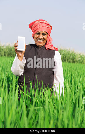 1 Indian Rural Farmer Man Field Showing Smart Phone Display Stock Photo