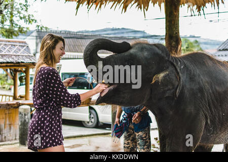 Photo of Girl Feeding Baby Elephant in Thailand Stock Photo