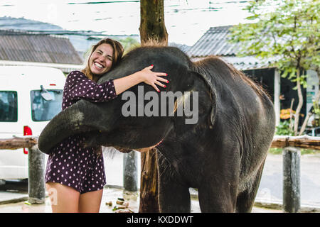 Photo of Girl Feeding Baby Elephant in Thailand Stock Photo