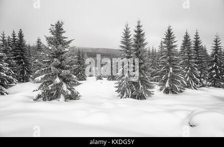 Black and white picture of a mountain winter landscape. Stock Photo
