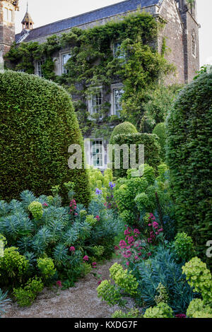 Hanham Court Gardens, Bristol. Early summer garden with topiary, Iris and Euphorbia Stock Photo