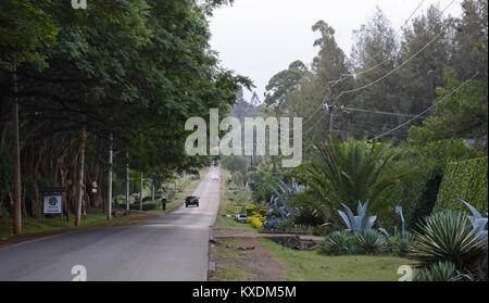 Marula Lane, Karen, Nairobi, Kenya Stock Photo