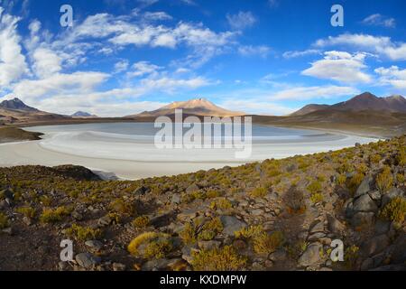 Typical landscape on the Laguna Hedionda, lagoon route, Nor Lípez province, Potosi department, Bolivia Stock Photo