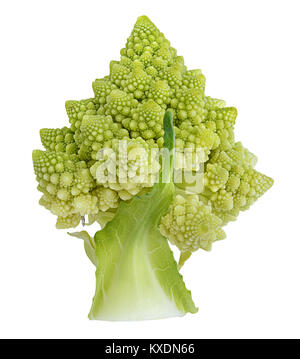 Roman cauliflower isolated on white background with clipping path Stock Photo