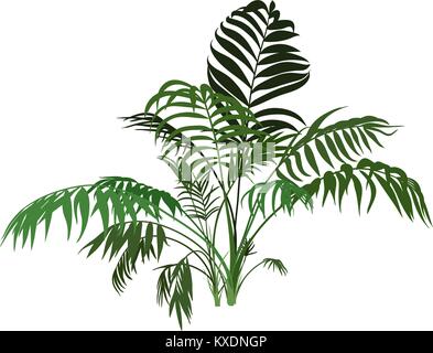 Palm Tree Stock Vector