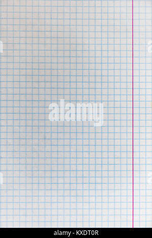 Sheet from school notebook in the cage Stock Photo