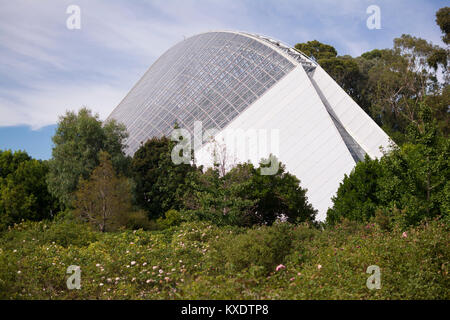 Adelaide, South Australia, Australia - January 8, 2017: The rose garden at the Adelaide Botanic Garden, with the Bicentennial Conservatory in the back Stock Photo
