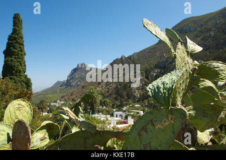 Graffiti on cactus plants in the village of Karmi with the mountains in the background, Cyprus Stock Photo