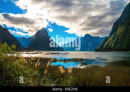 Milford Sound with famous Mitre Peak view while sunshine day, Fjords in Fiordland National Park, New Zealand Stock Photo