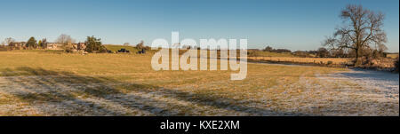 Panoramic rural landscape, East from Hutton Magna, Lower Teesdale, UK on a fine frosty winter afternoon Stock Photo