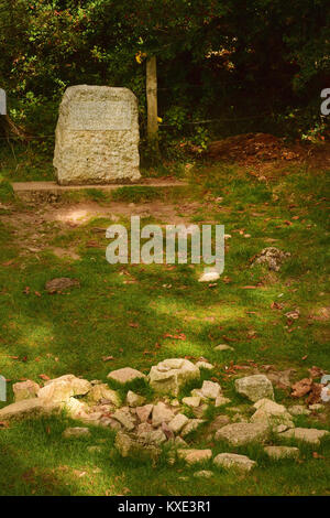 Source of the River Thames, England Stock Photo - Alamy