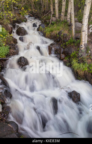 Spring runoff, Hidden Valley Creek, Rocky Mountain National Park, Colorado Stock Photo