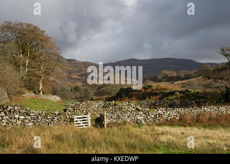 Autumn scenery at Cwm Bychan near Llanbedr in North Wales. Autumn colour in this varied and rugged landscape. Stock Photo
