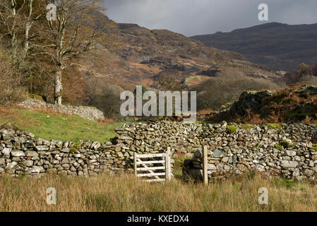 Autumn scenery at Cwm Bychan near Llanbedr in North Wales. Autumn colour in this varied and rugged landscape. Stock Photo