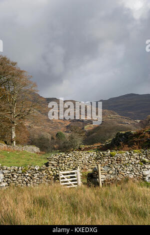 Autumn scenery at Cwm Bychan near Llanbedr in North Wales. Autumn colour in this varied and rugged landscape. Stock Photo