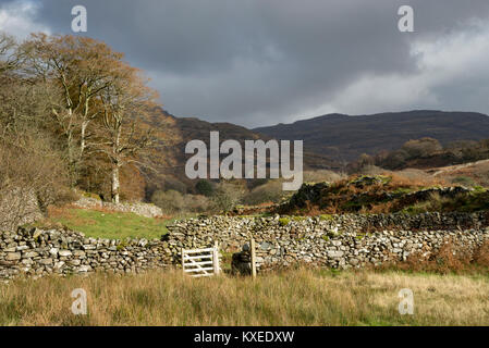 Autumn scenery at Cwm Bychan near Llanbedr in North Wales. Autumn colour in this varied and rugged landscape. Stock Photo