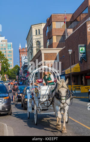 Horse-drawn carriage in Victoria known as the Garden City on Vancouver Island in British Columbia, Canada Stock Photo