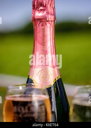 Bottles of Kew English Sparkling wine at the Bolney Wine Estate near Haywards Heath, West Sussex. Stock Photo