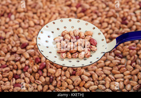 Raw pinto beans background and a metallic ladle Stock Photo