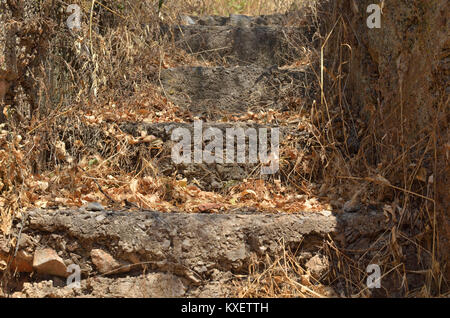 Rustic village stone stairs abandoned and overgrown with dry grass Stock Photo