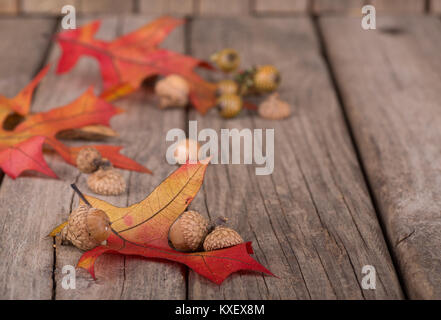 Autumn oak leaves and acorns on a rustic wood surface Stock Photo