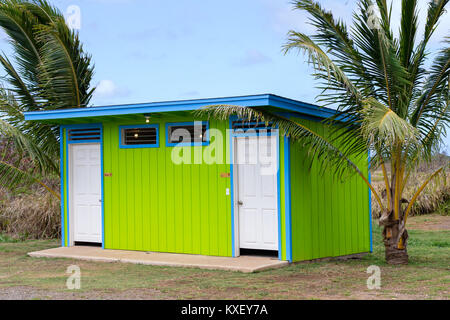 Colorful neat clean green public restroom facility flanked by tropical palm trees in a park on Oahu, Hawaii with signs and doors for men and women Stock Photo