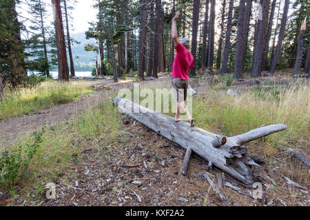 A man passes time balancing on a tree trunk in Fallen Leaf Campground. Stock Photo