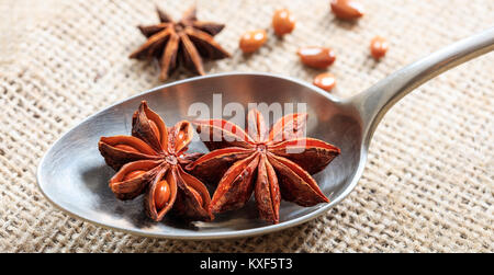 Dried star anise in a spoon on a sackcloth Stock Photo