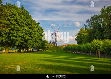 Bruges cityscape on a summer day. Windmill in Brugge, Belgium. Stock Photo