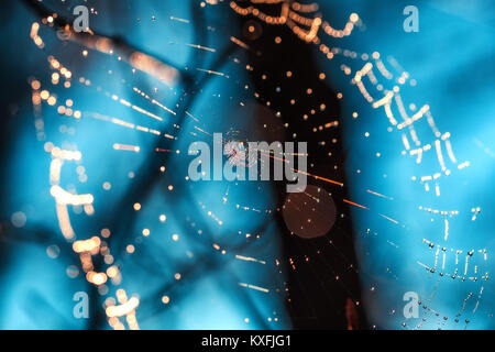Spiderweb with dewdrops on blue background. Stock Photo