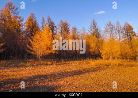 Inner Mongolia, Inner Mongolia, China. 9th Jan, 2018. Inner Mongolia, CHINA-9th January 2018:(EDITORIAL USE ONLY. CHINA OUT) .Early winter scenery of Arxan Mountain in north China's Inner Mongolia Autonomous Region. Credit: SIPA Asia/ZUMA Wire/Alamy Live News Stock Photo