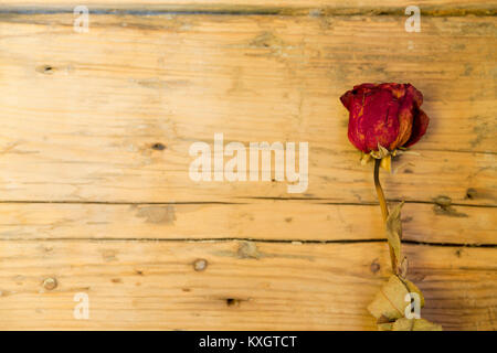 dried rose flower on wooden background Stock Photo