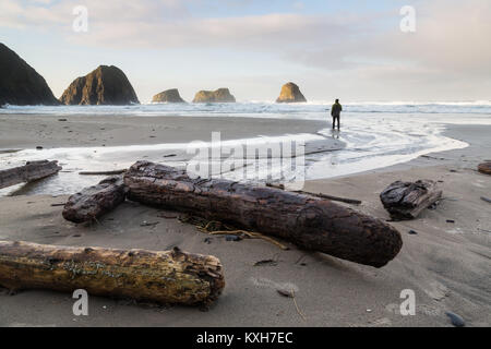 A man admires the view of rugged Oregon coast seastacks near Cannon Beach. Stock Photo