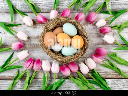 tulips circle border with colorful real eggs inside nest on rustic white wooden boards for Easter Background Stock Photo