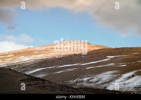 Mongolian landscape snowy mountains snow winter cloudy goat herd Mongolia Stock Photo