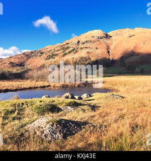 The River Brathay in the Little Langdale valley leading to Lingmoor Fell seen on a crisp autumnal afternoon.  Lake District National Park, UK. Stock Photo