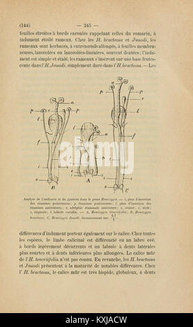 Annuaire du Conservatoire et du jardin botaniques de Genève BHL4221231 Stock Photo
