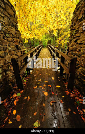 Swinging bridge across Glade Creek at Babcock State Park, West Virginia, Stock Photo