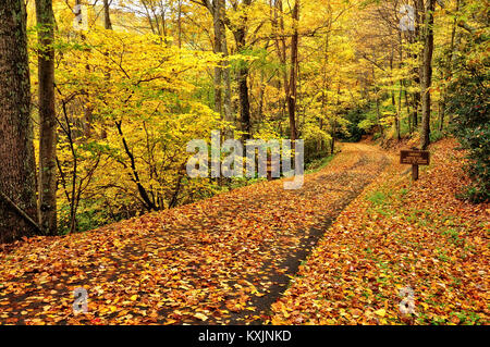 Country Road decked out in fall colors at Babcock State Park, West Virginia Stock Photo