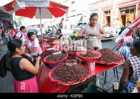 OAXACA, MEXICO - MARCH 8th, 2012: Women selling dried spiced grasshoppers (chapulines) on a local street market in Oaxaca, Mexico Stock Photo